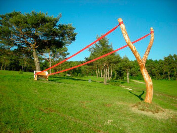 natura - 1789502518561582742091218274292n.jpg